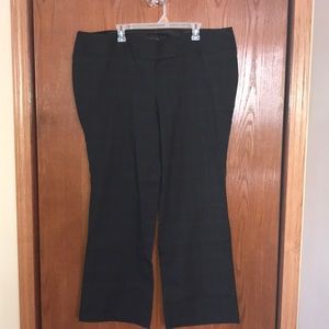 Torrid Relaxed Trouser Stretch Paint Sz 22
